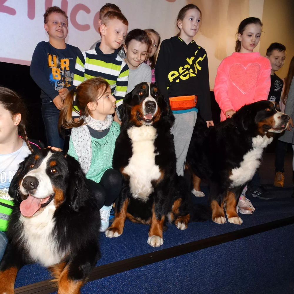  <span class="lte-header lte-h5"> Kamyczki z wizytą </span> 